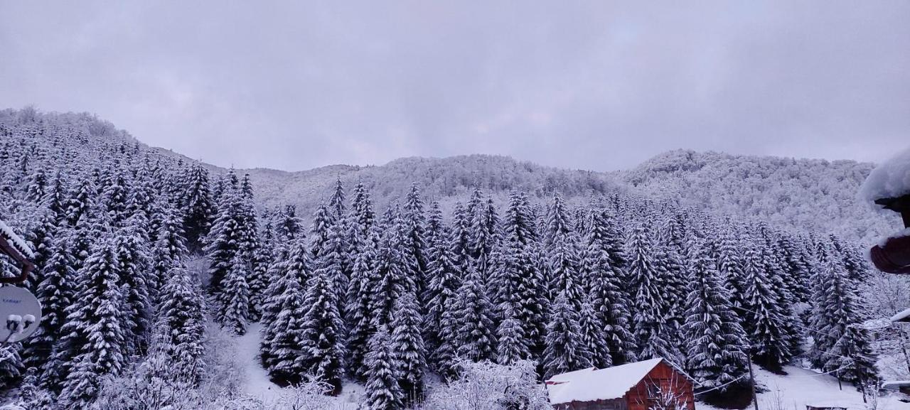 Садиба Квітка Карпат Ruska Mokra Exterior foto